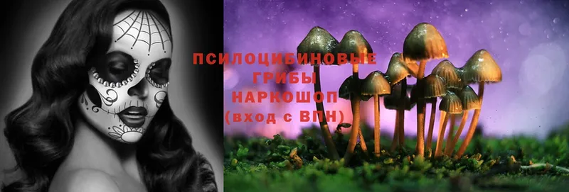 Псилоцибиновые грибы Psilocybine cubensis  купить закладку  Мамадыш 